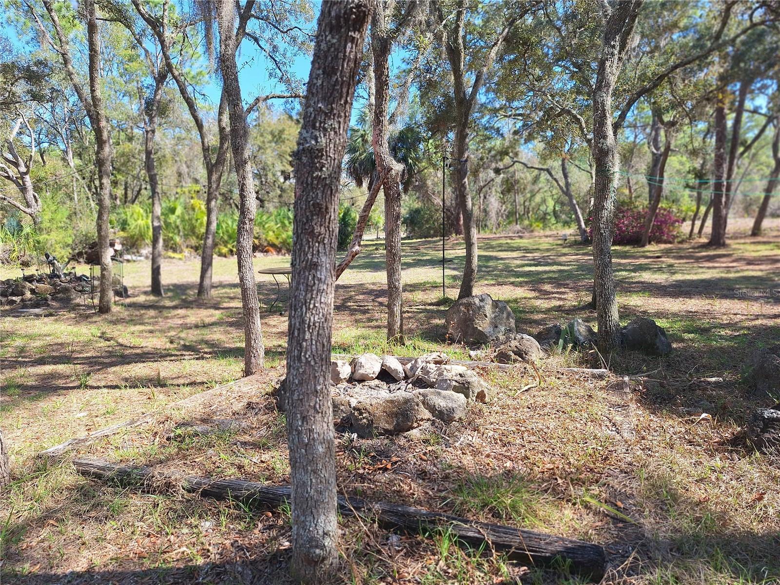 TBD 000 SW 123RD TER, CEDAR KEY, FL, 32625