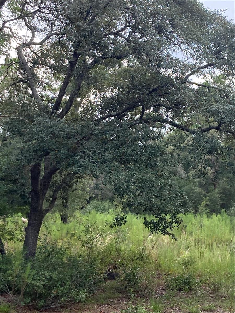 TBD SW 54TH ST, DUNNELLON, FL, 34431