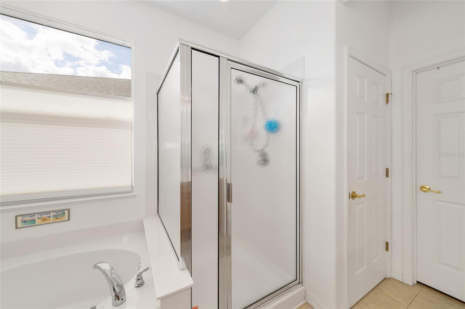 8788 SE 130TH LOOP, SUMMERFIELD, FL, 34491