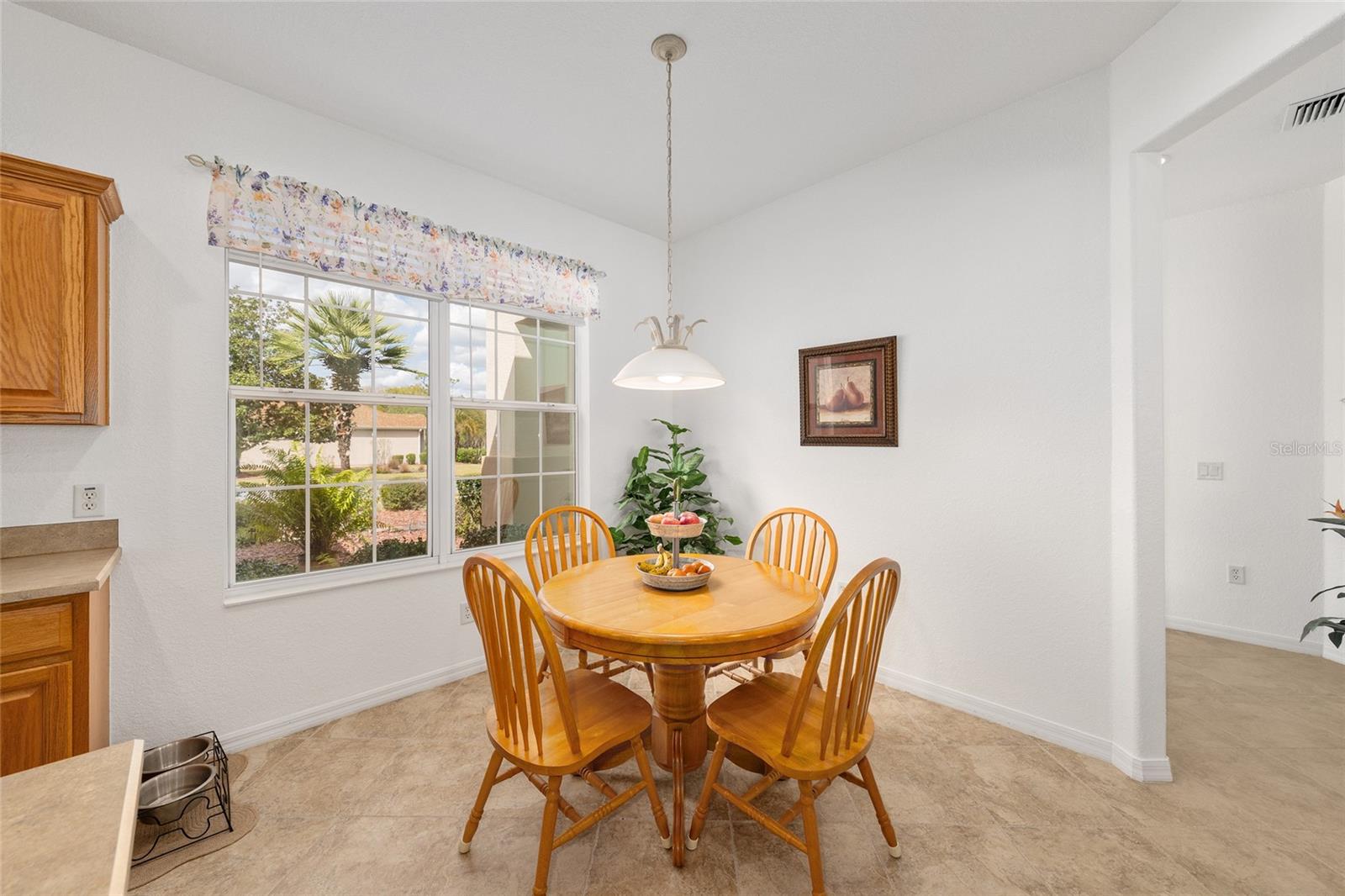 8788 SE 130TH LOOP, SUMMERFIELD, FL, 34491