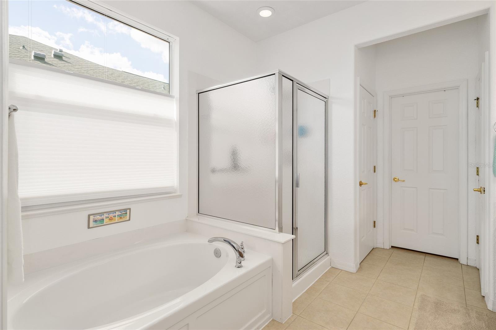 8788 SE 130TH LOOP, SUMMERFIELD, FL, 34491