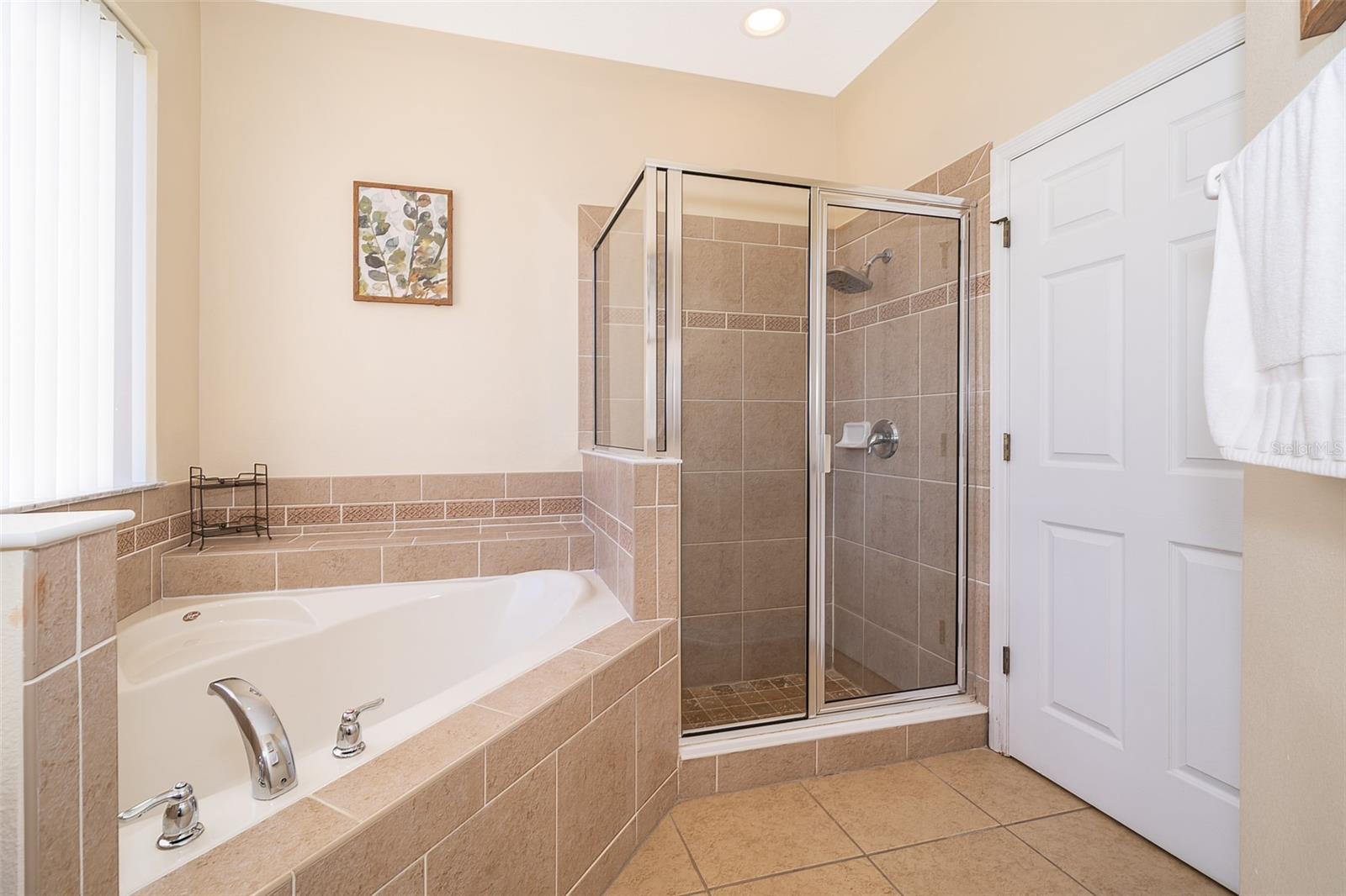 906 ORANGE COSMOS BLVD, DAVENPORT, FL, 33837