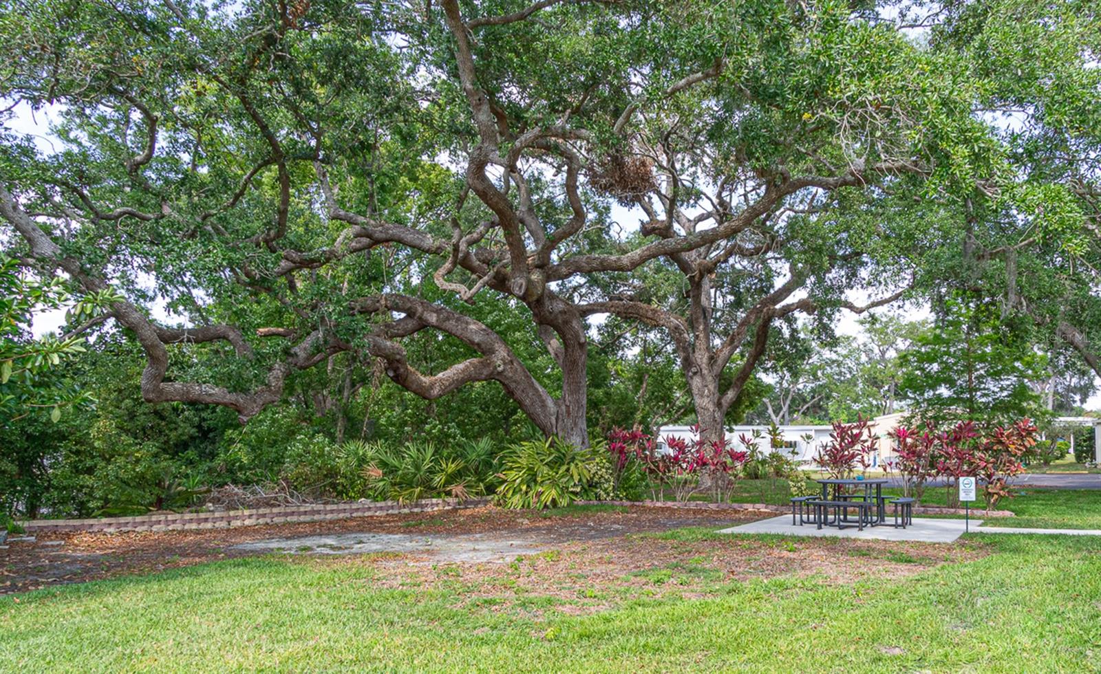 38 DEER TRAIL CT #49, SAFETY HARBOR, FL, 34695