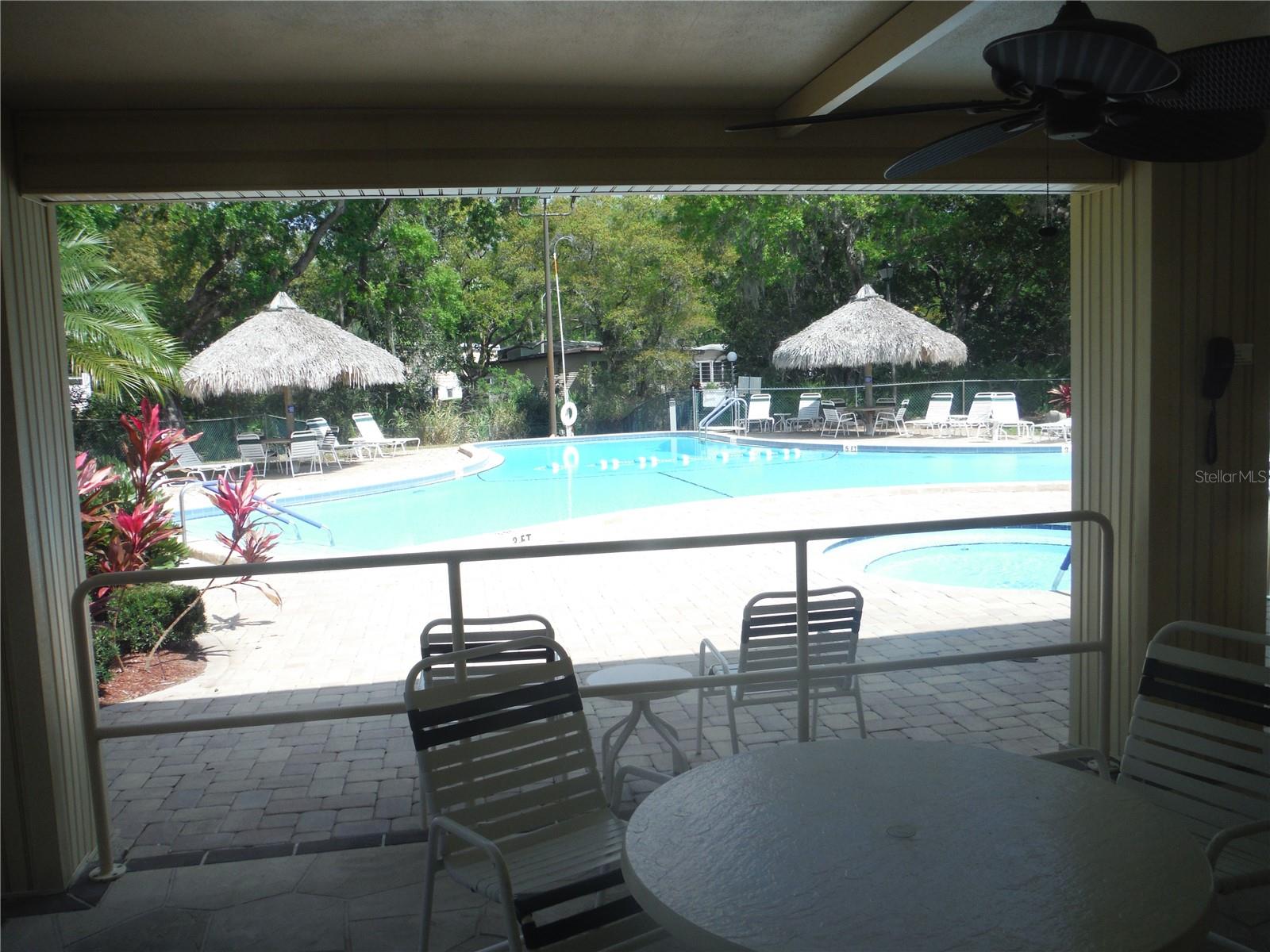 38 DEER TRAIL CT #49, SAFETY HARBOR, FL, 34695