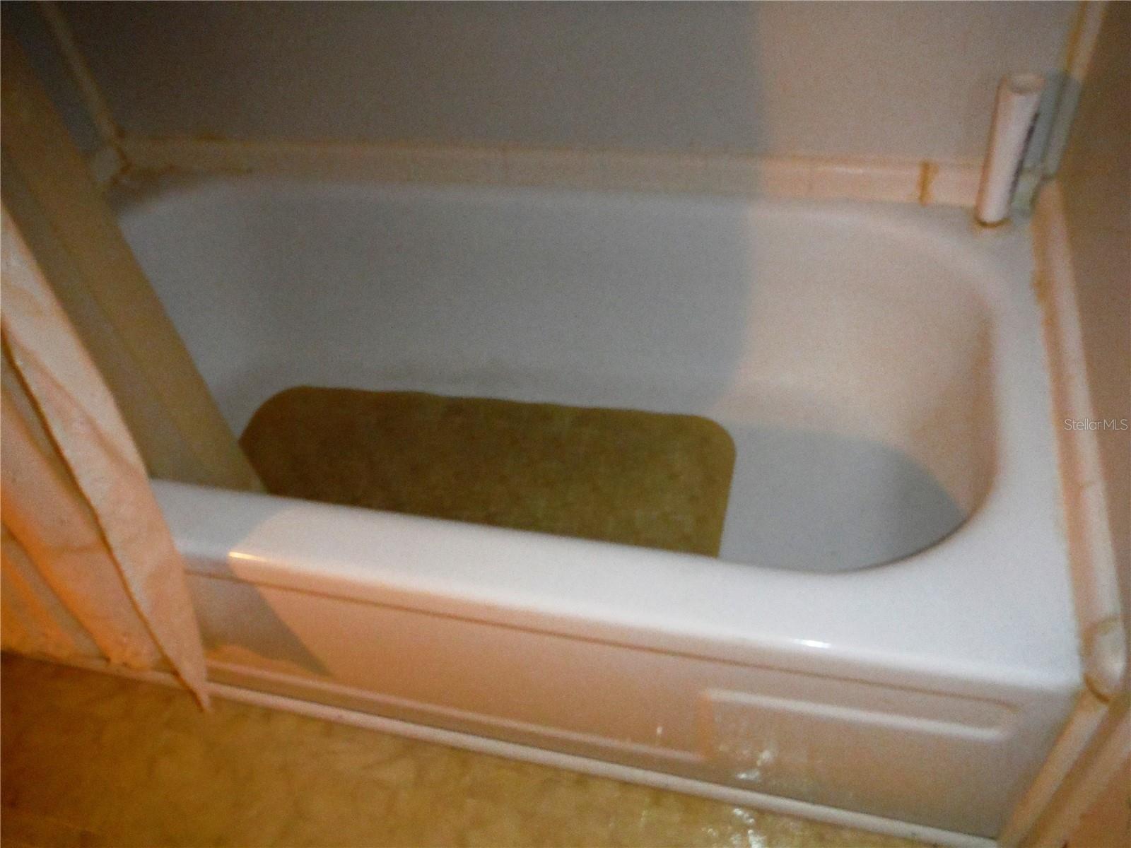 38 DEER TRAIL CT #49, SAFETY HARBOR, FL, 34695