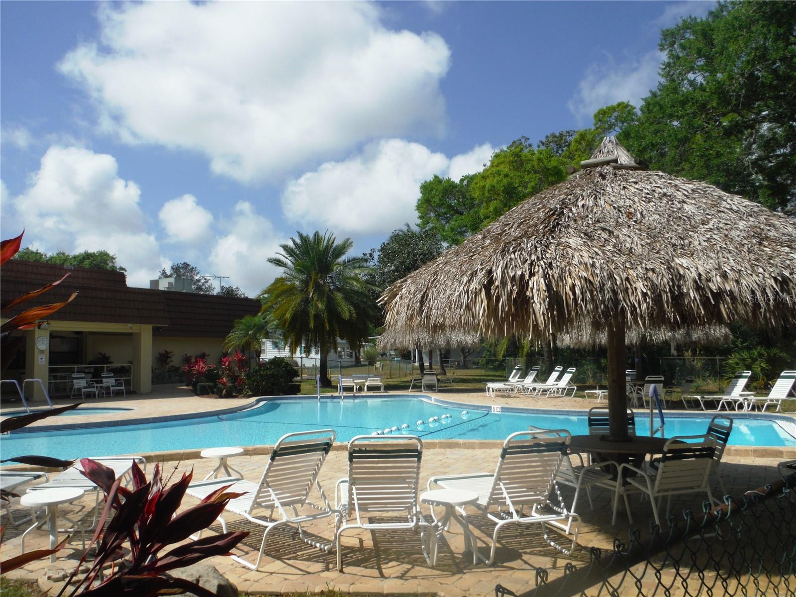 38 DEER TRAIL CT #49, SAFETY HARBOR, FL, 34695