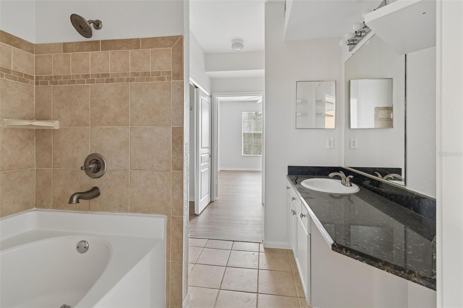 5125 PALM SPRINGS BLVD #4305, TAMPA, FL, 33647