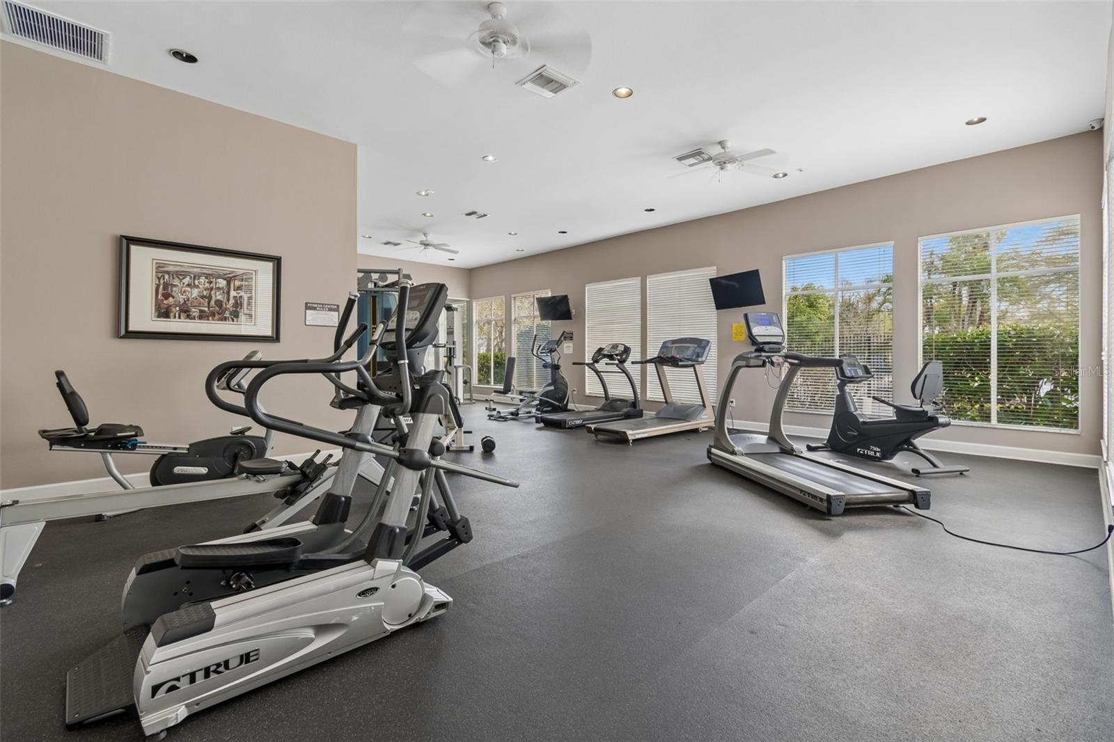 5125 PALM SPRINGS BLVD #4305, TAMPA, FL, 33647