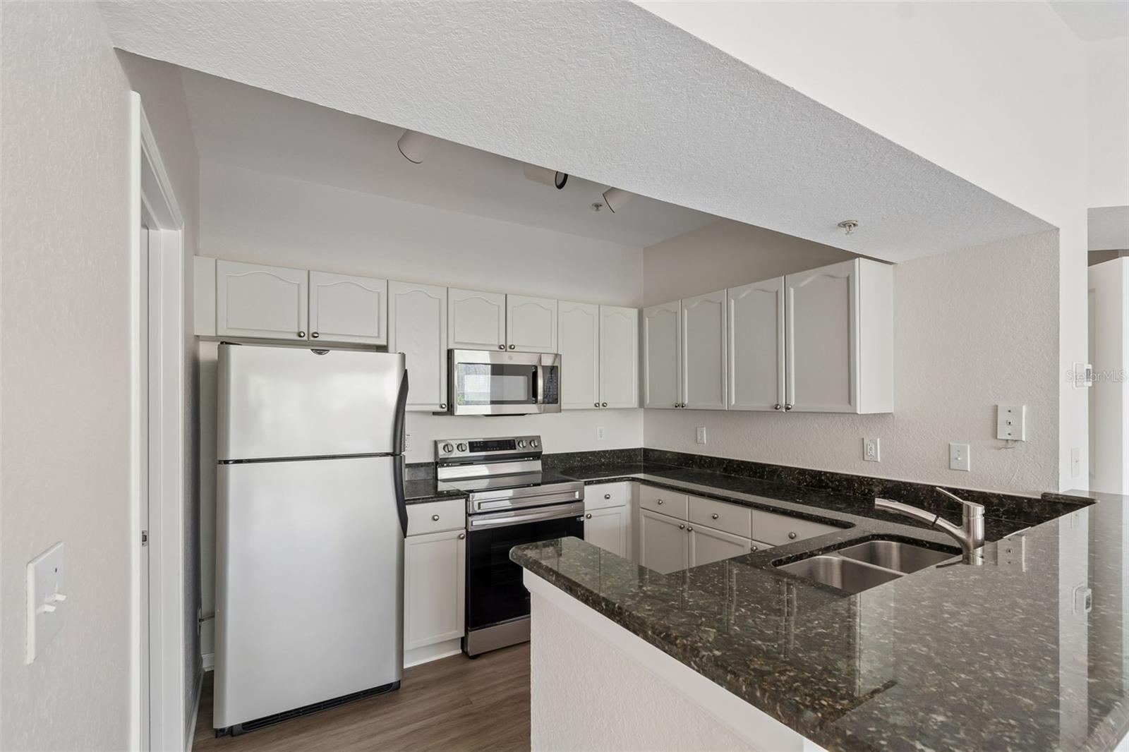 5125 PALM SPRINGS BLVD #4305, TAMPA, FL, 33647