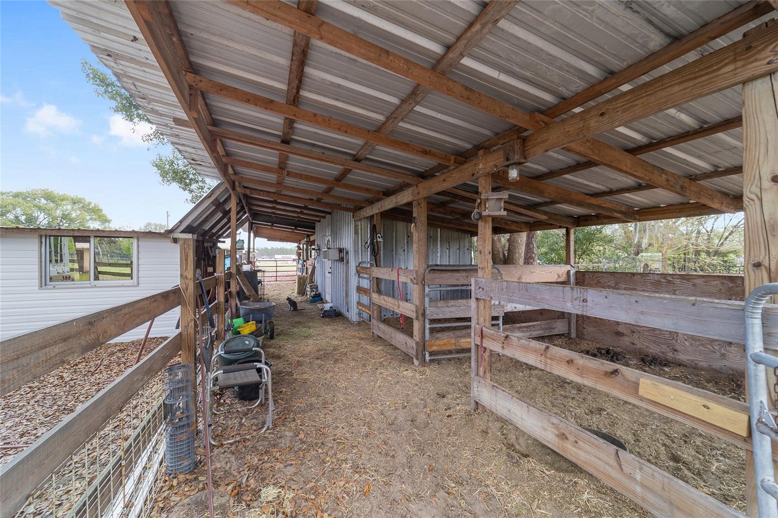 12620 SE MARICAMP RD, OCKLAWAHA, FL, 32179