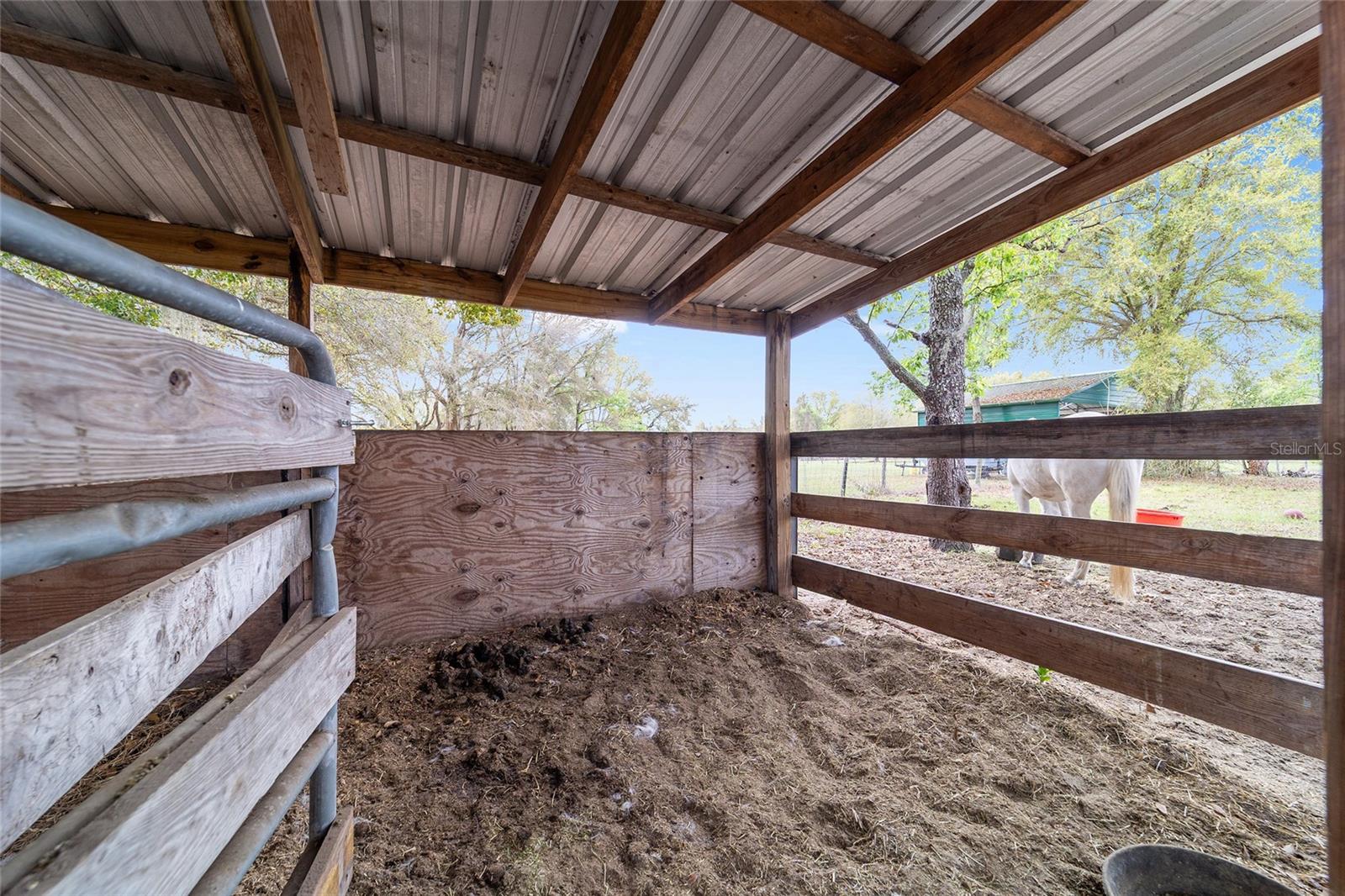 12620 SE MARICAMP RD, OCKLAWAHA, FL, 32179