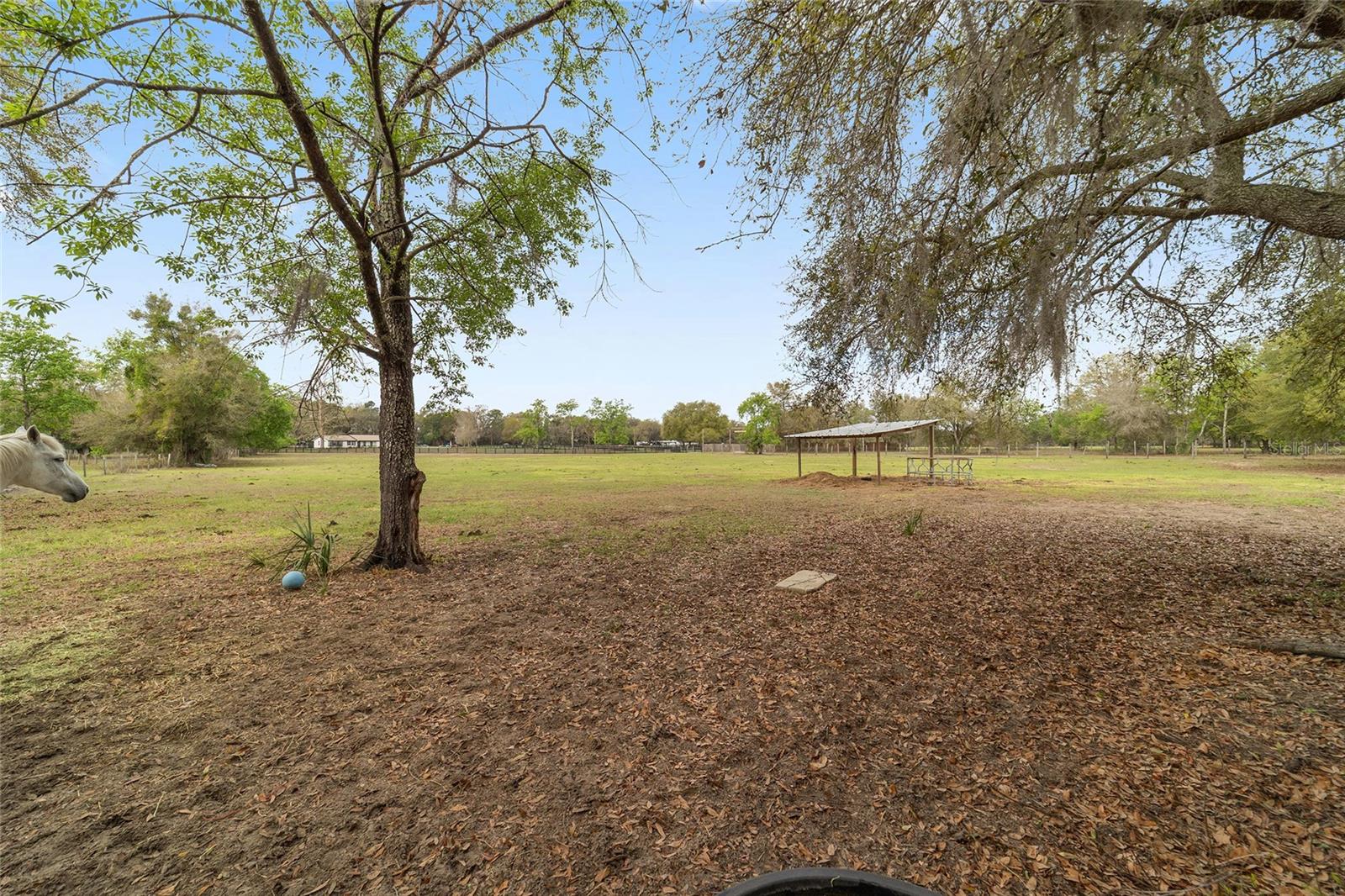 12620 SE MARICAMP RD, OCKLAWAHA, FL, 32179