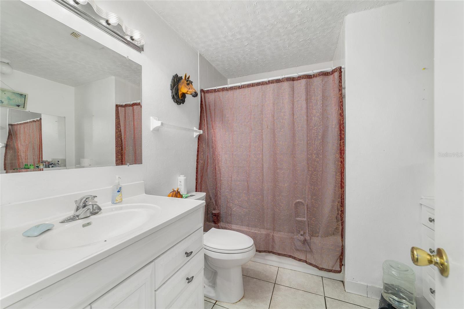 12620 SE MARICAMP RD, OCKLAWAHA, FL, 32179