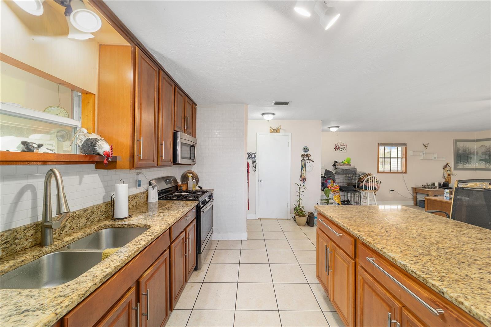 12620 SE MARICAMP RD, OCKLAWAHA, FL, 32179