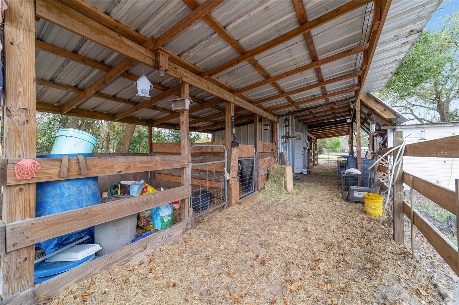 12620 SE MARICAMP RD, OCKLAWAHA, FL, 32179