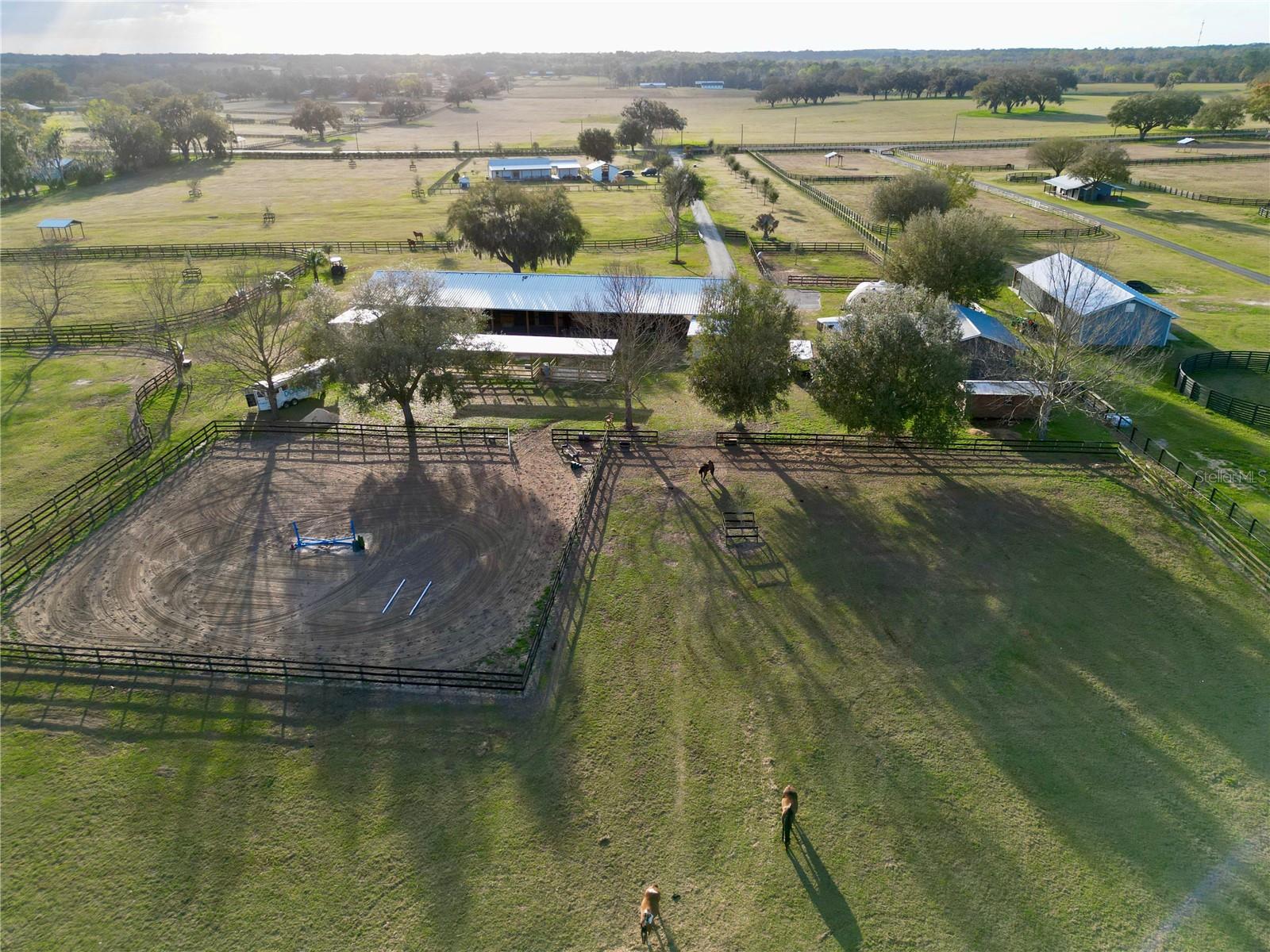 12895 NW GAINESVILLE RD, REDDICK, FL, 32686