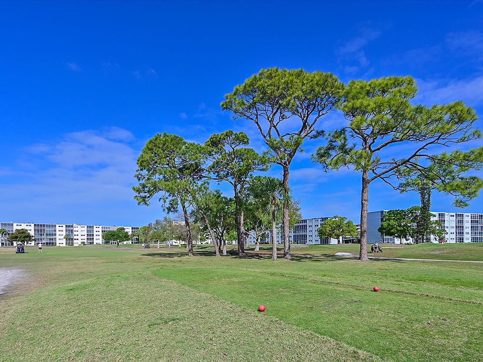 4240 IRONWOOD CIR #206A, BRADENTON, FL, 34209