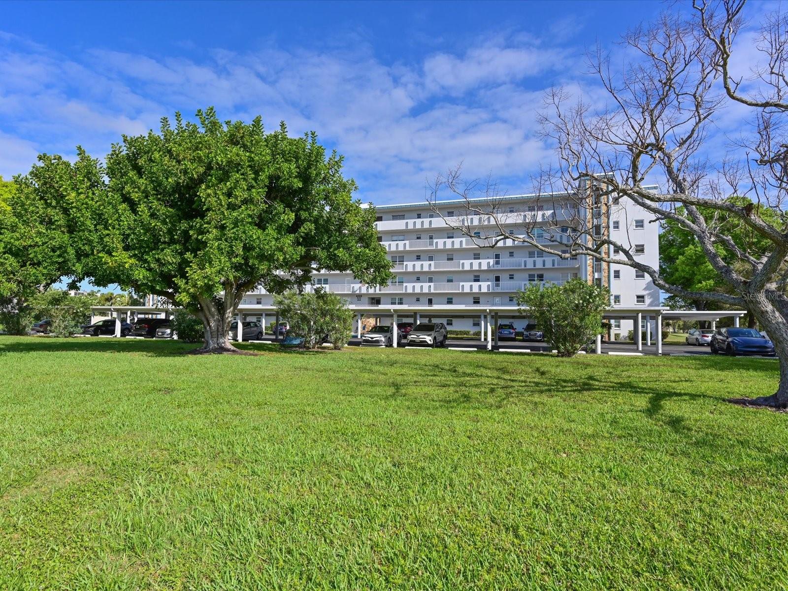 4240 IRONWOOD CIR #206A, BRADENTON, FL, 34209