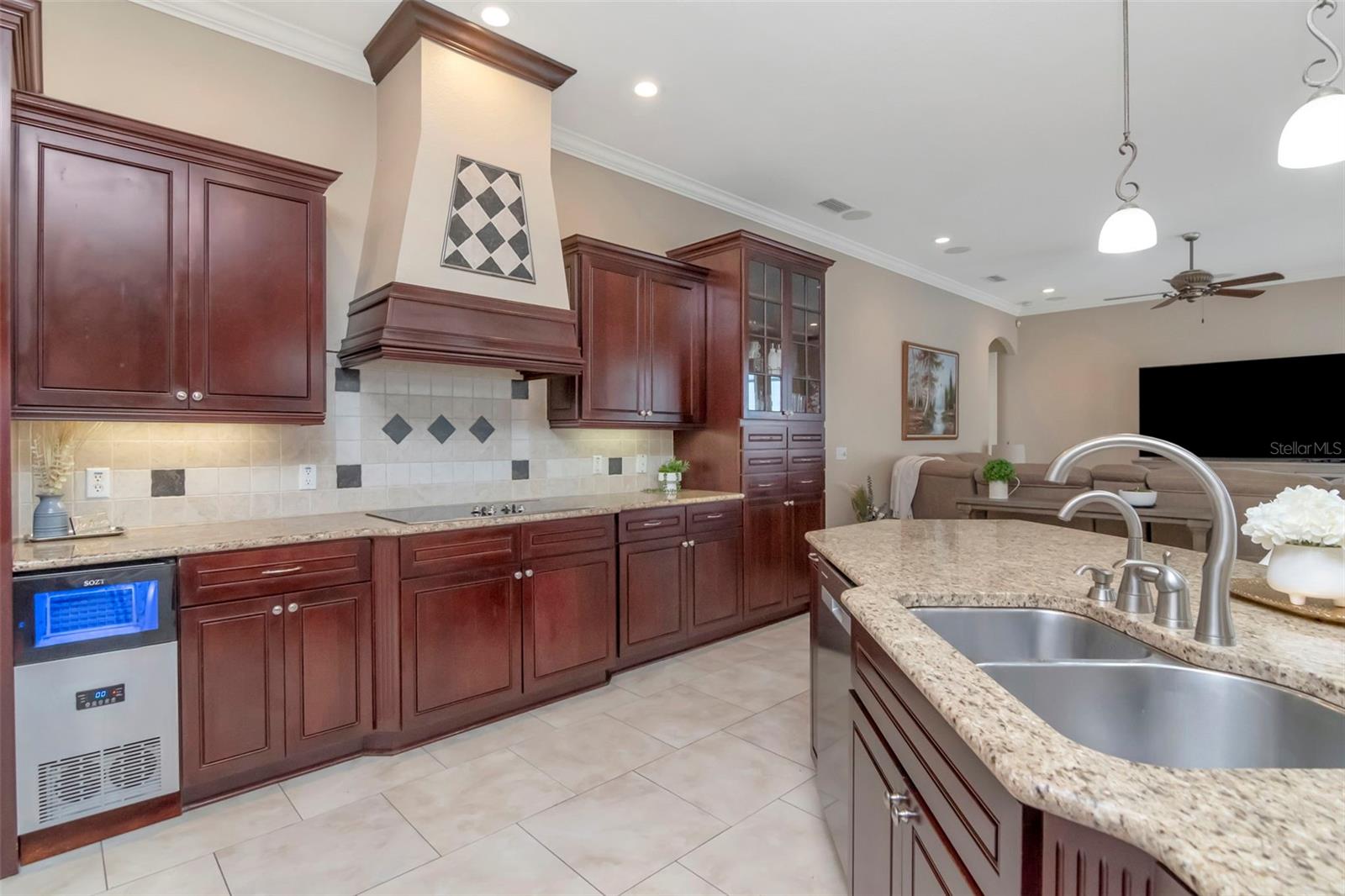 1022 EMERALD CREEK DR, VALRICO, FL, 33596