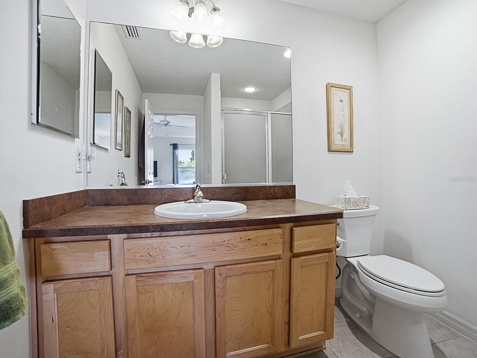 3481 OLDHAM LN, THE VILLAGES, FL, 32163
