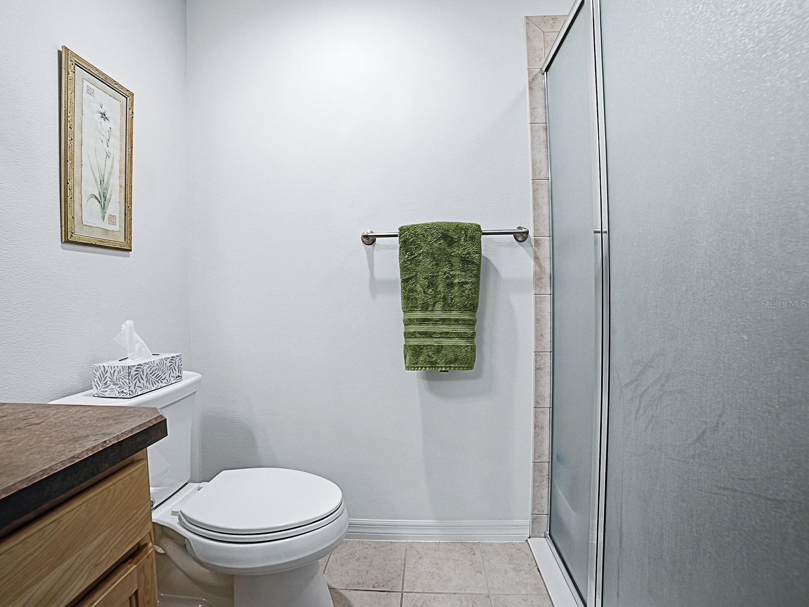 3481 OLDHAM LN, THE VILLAGES, FL, 32163