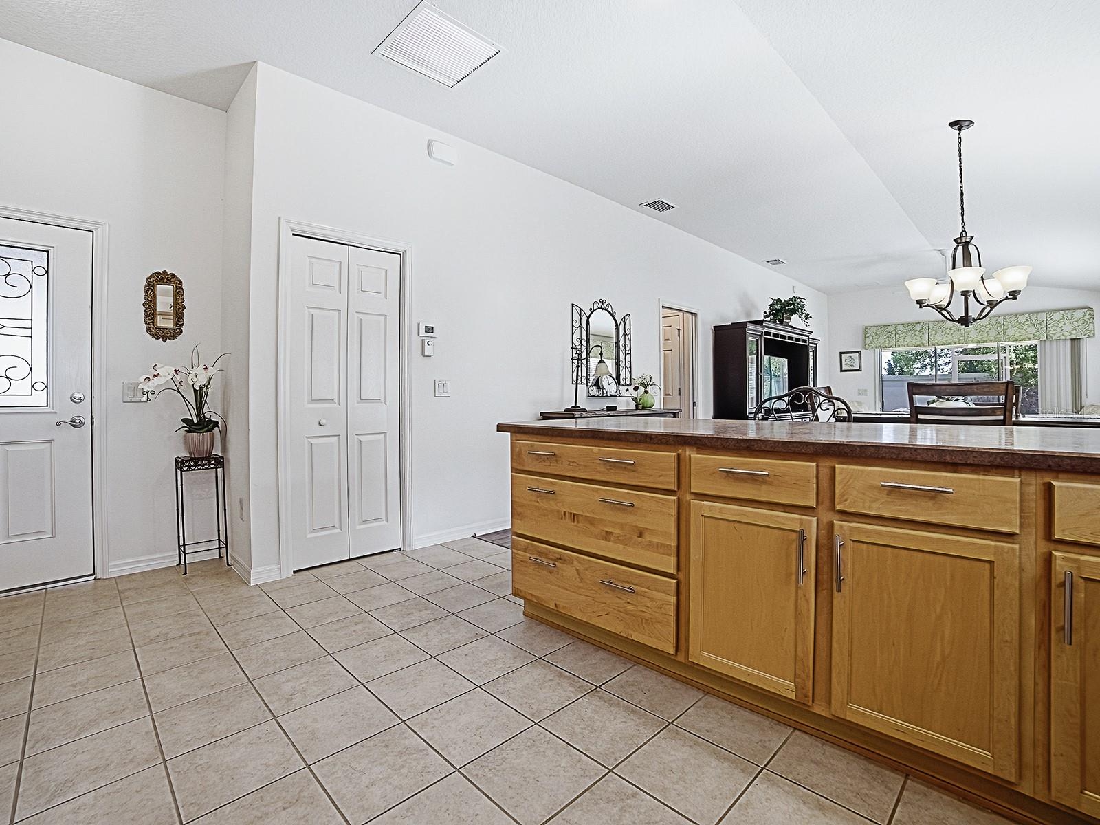 3481 OLDHAM LN, THE VILLAGES, FL, 32163