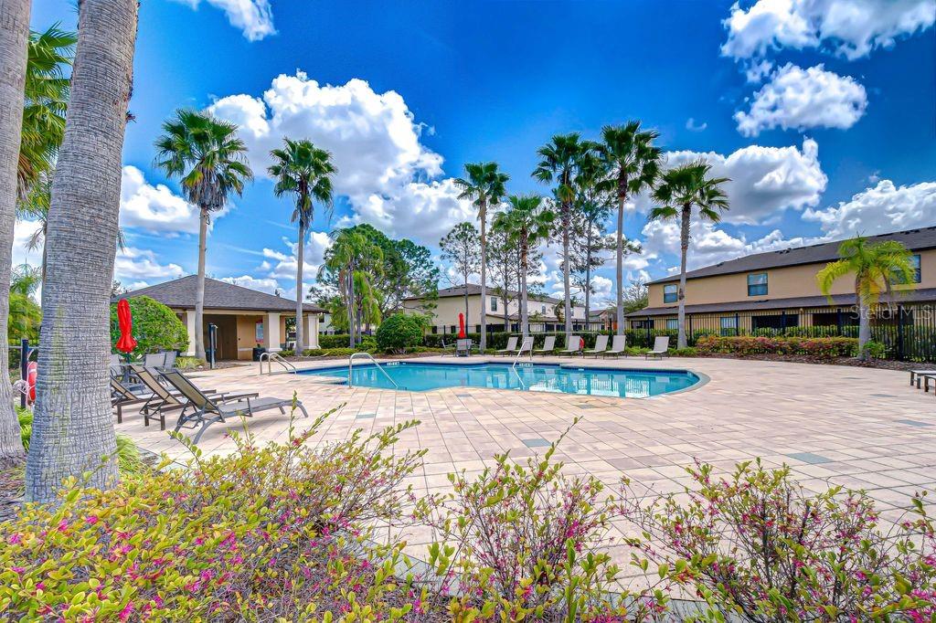 2609 OLEANDER LAKES DR, BRANDON, FL, 33511