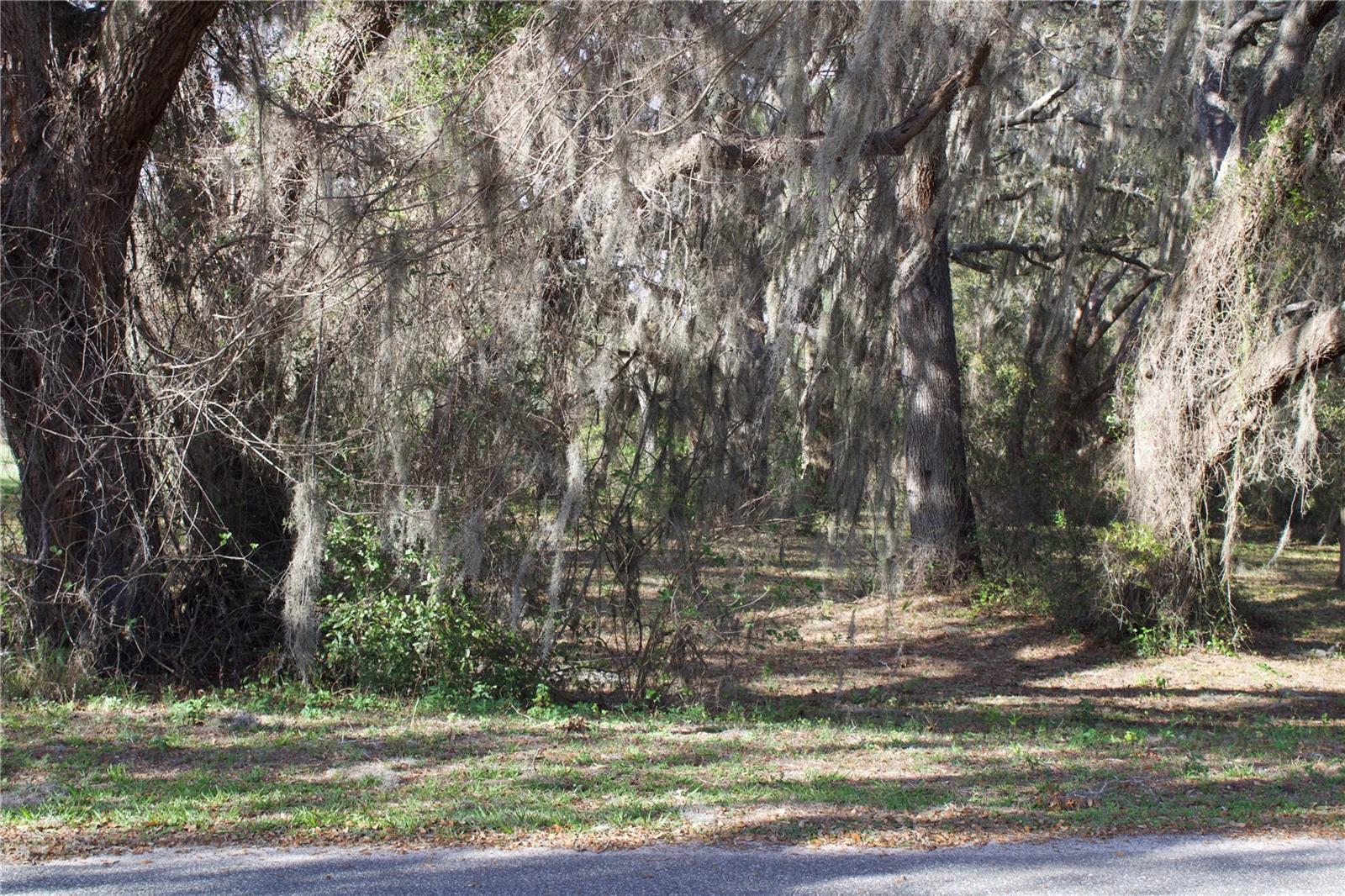 SILENT RIDGE DR #47, TAVARES, FL, 32778