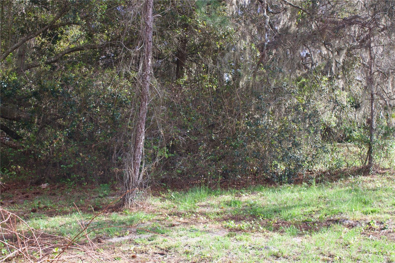 SILENT RIDGE DR #47, TAVARES, FL, 32778