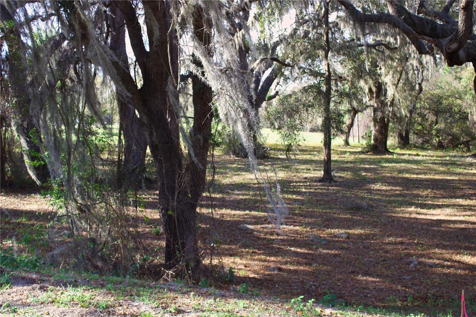 SILENT RIDGE DR #47, TAVARES, FL, 32778