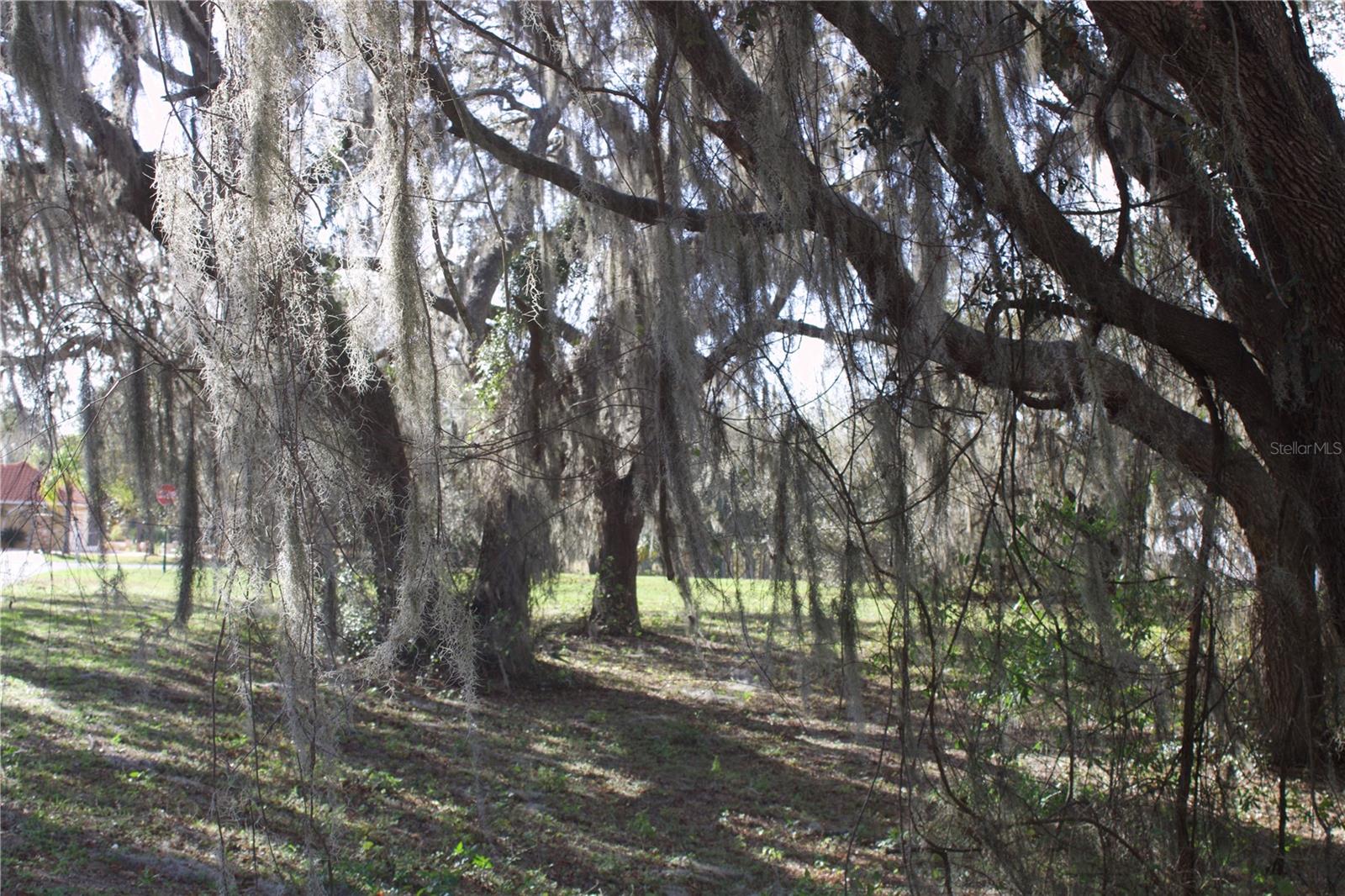 SILENT RIDGE DR #47, TAVARES, FL, 32778