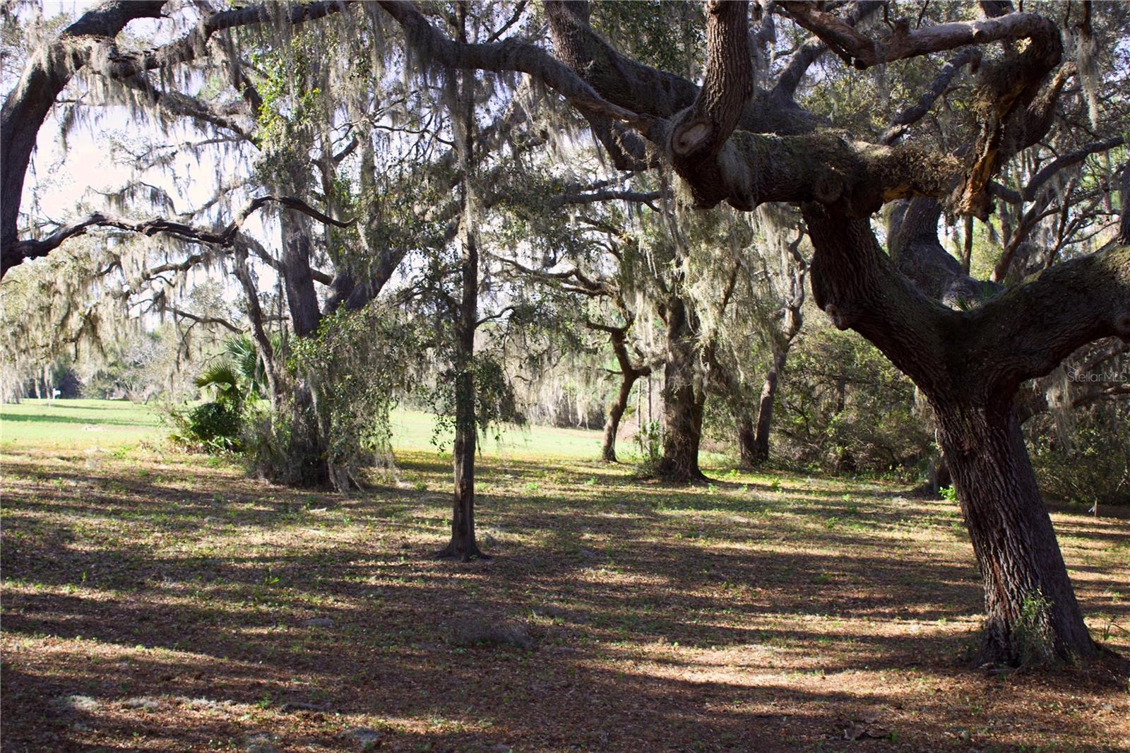 SILENT RIDGE DR #47, TAVARES, FL, 32778