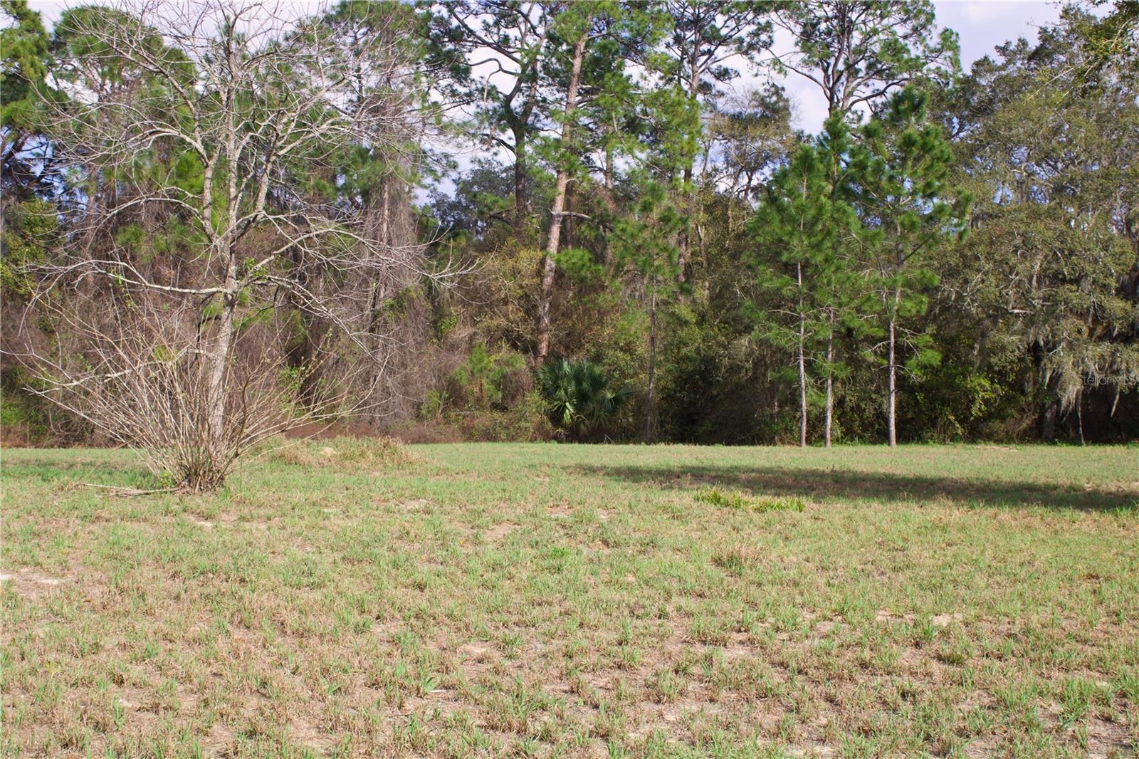 SILENT RIDGE DR #47, TAVARES, FL, 32778