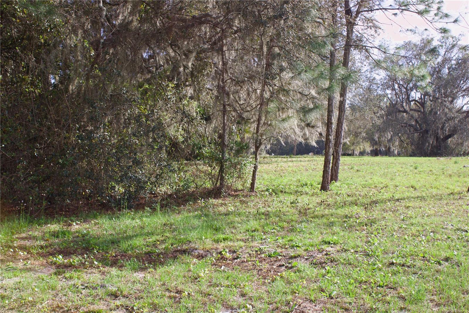 SILENT RIDGE DR #47, TAVARES, FL, 32778