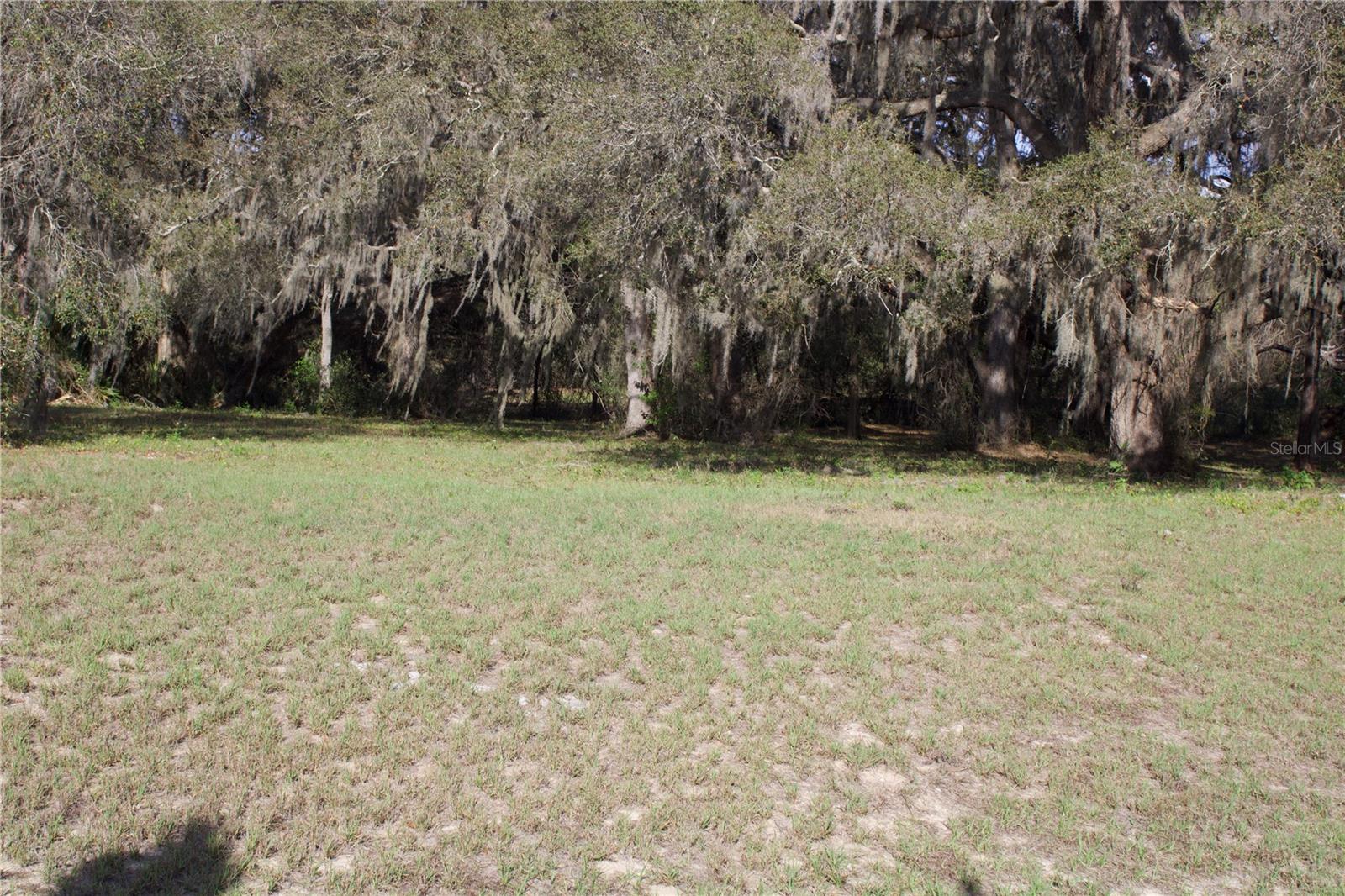 SILENT RIDGE DR #47, TAVARES, FL, 32778