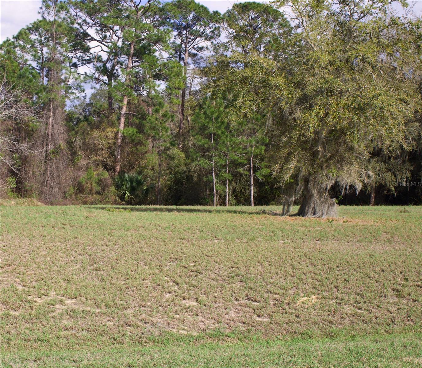 SILENT RIDGE DR #47, TAVARES, FL, 32778