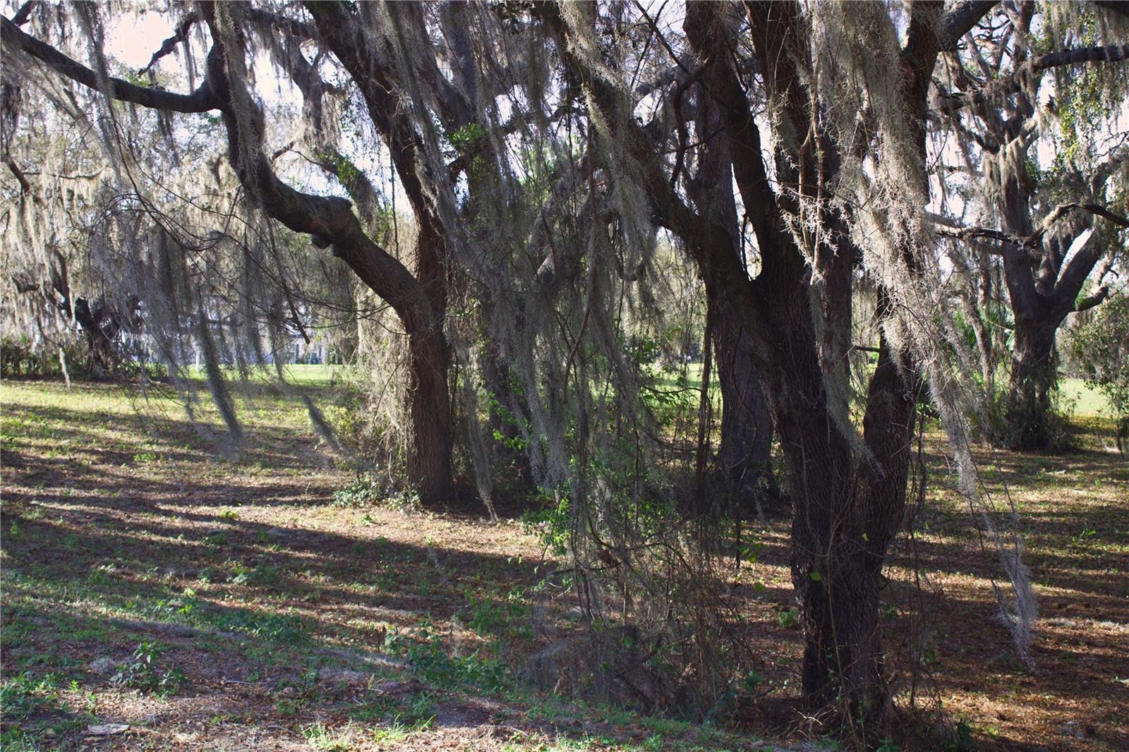 SILENT RIDGE DR #47, TAVARES, FL, 32778