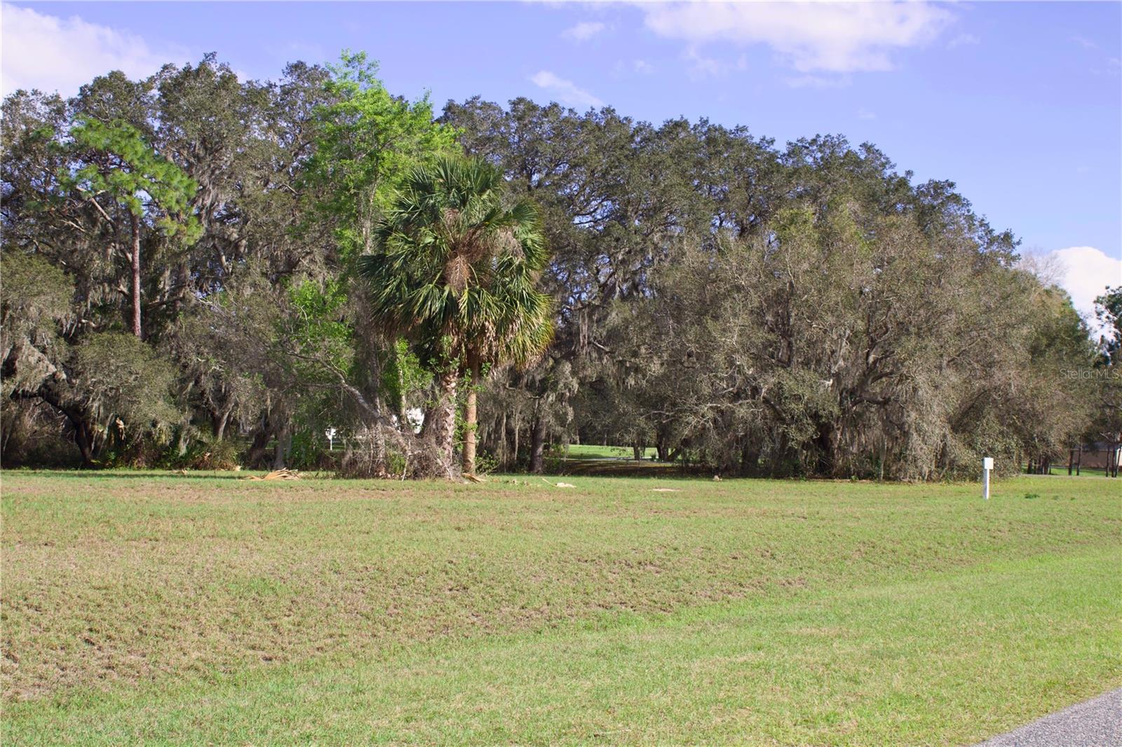 SILENT RIDGE DR #47, TAVARES, FL, 32778