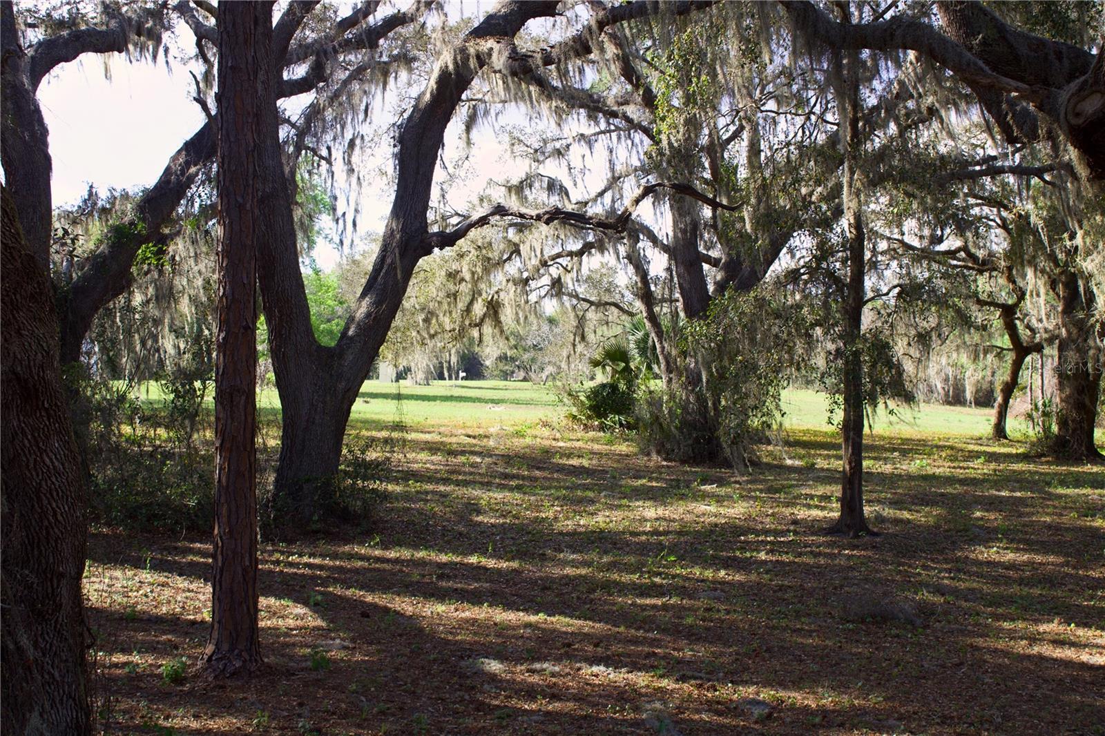 SILENT RIDGE DR #47, TAVARES, FL, 32778