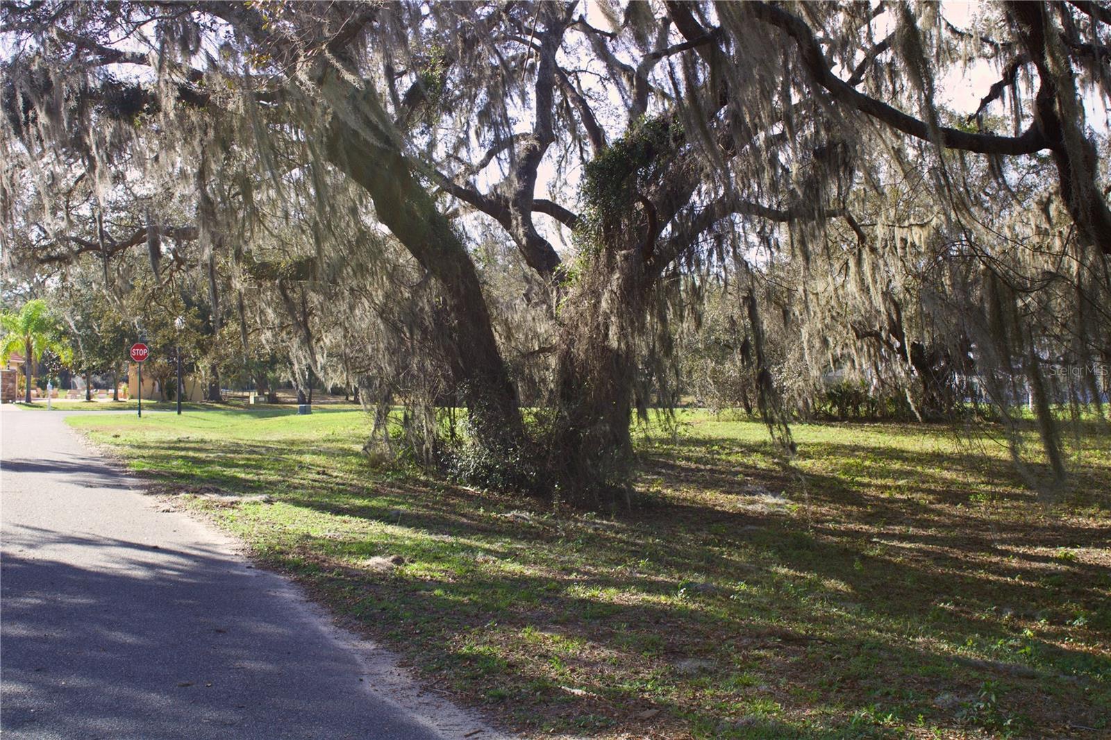 SILENT RIDGE DR #47, TAVARES, FL, 32778