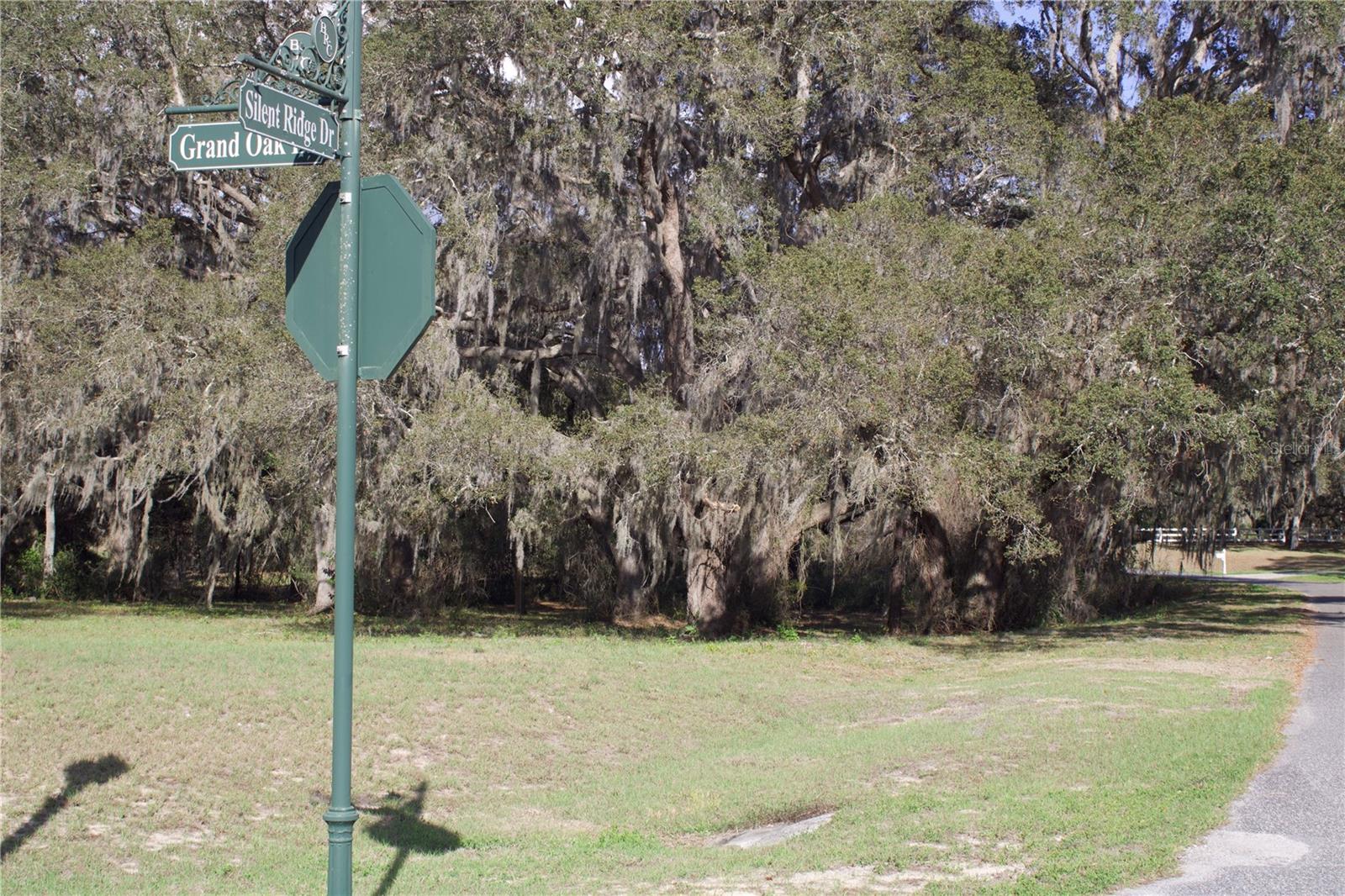 SILENT RIDGE DR #47, TAVARES, FL, 32778