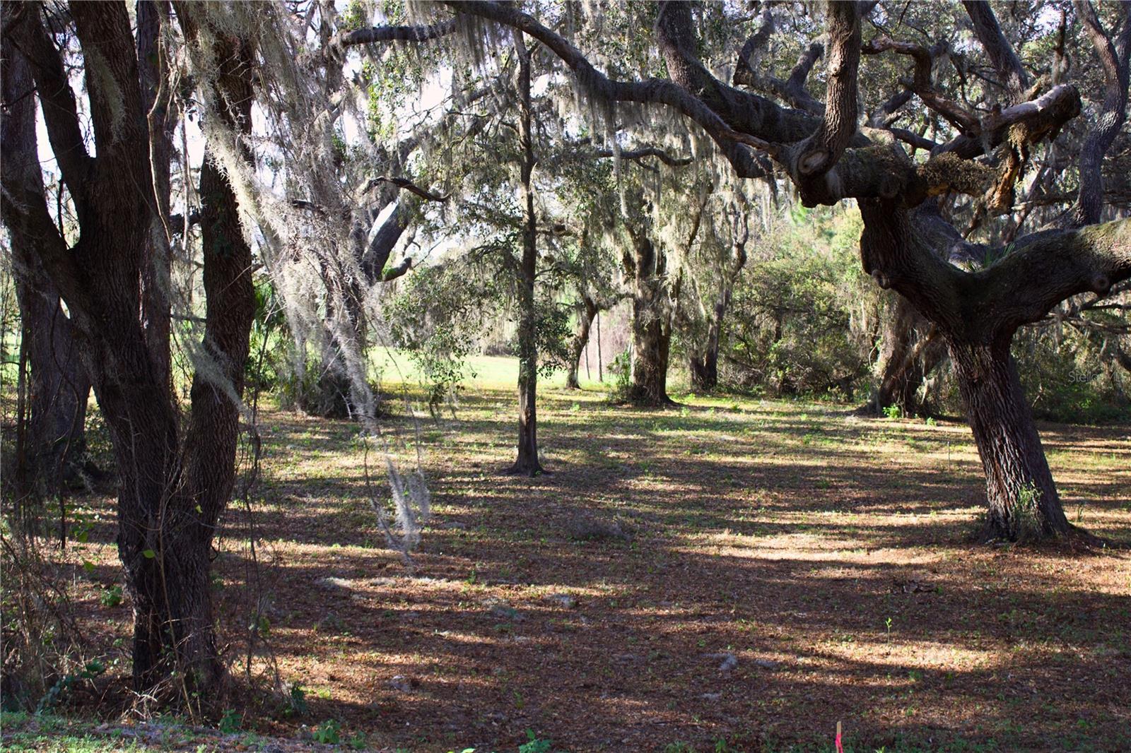 SILENT RIDGE DR #47, TAVARES, FL, 32778