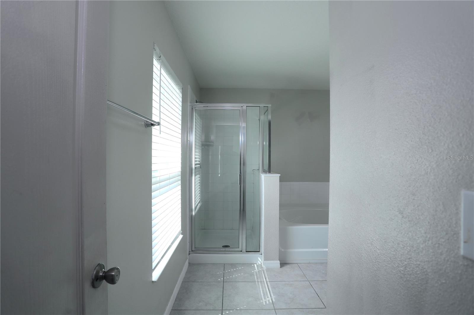 1141 AUGUSTUS DR, DAVENPORT, FL, 33896