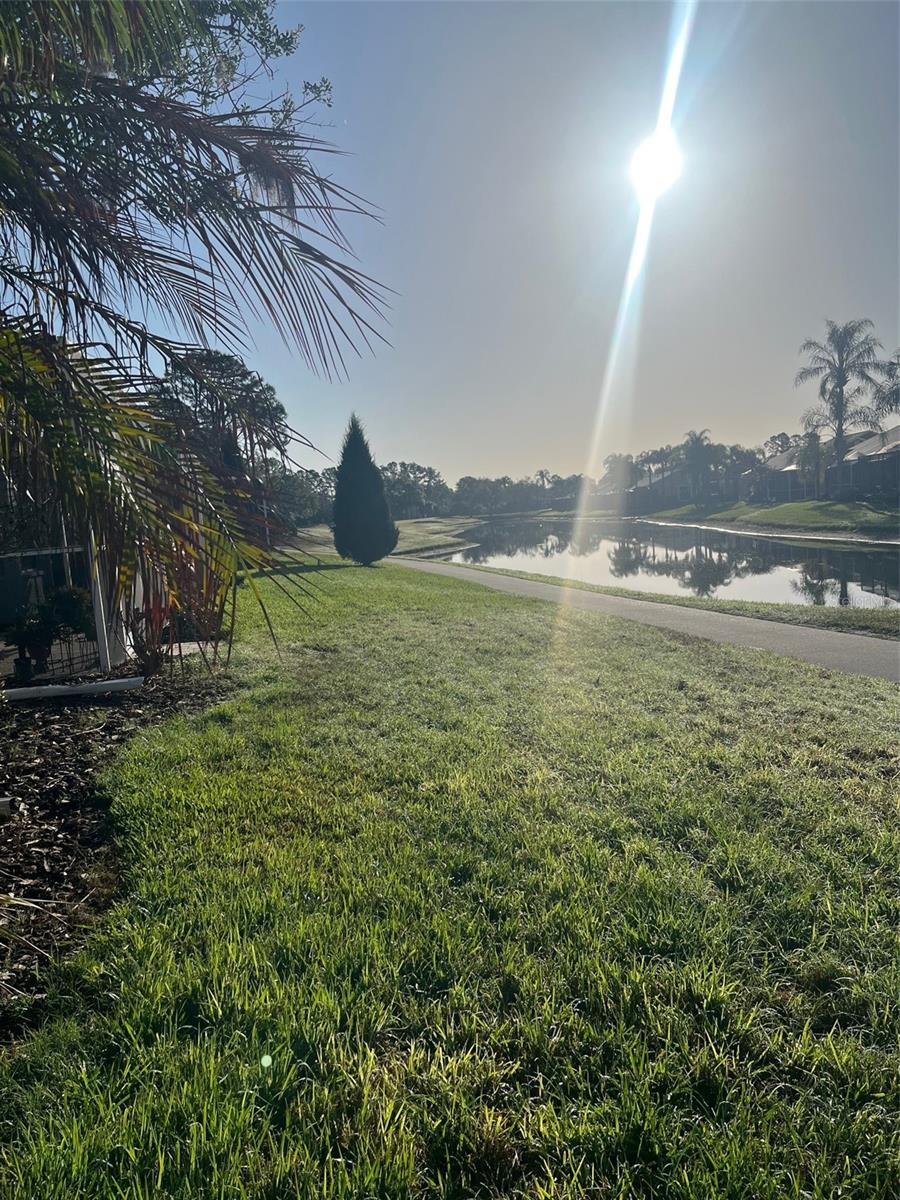 20750 EUSTIS RD, LAND O LAKES, FL, 34637