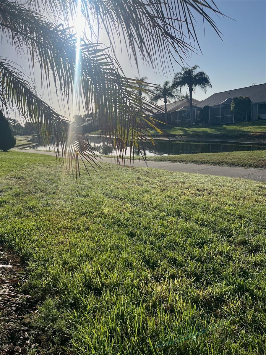 20750 EUSTIS RD, LAND O LAKES, FL, 34637