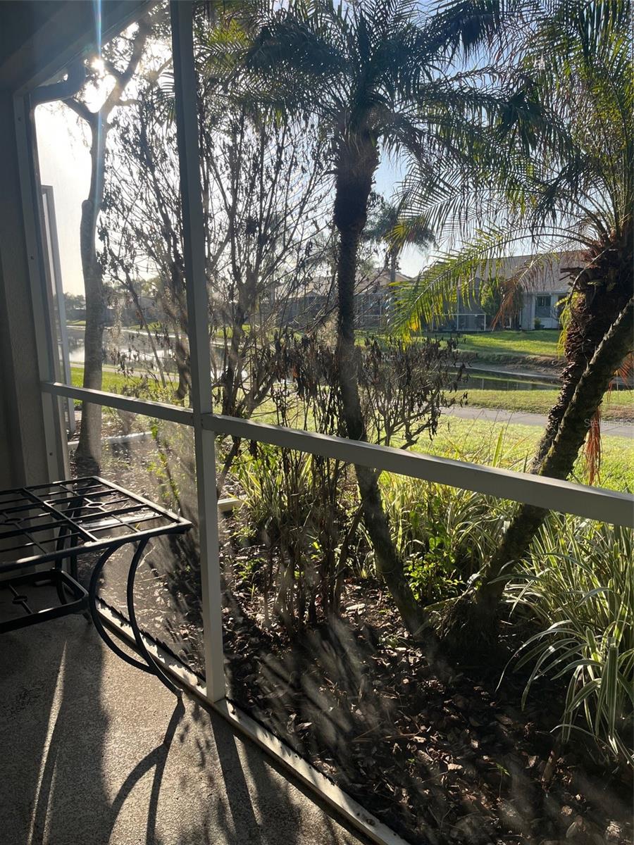 20750 EUSTIS RD, LAND O LAKES, FL, 34637