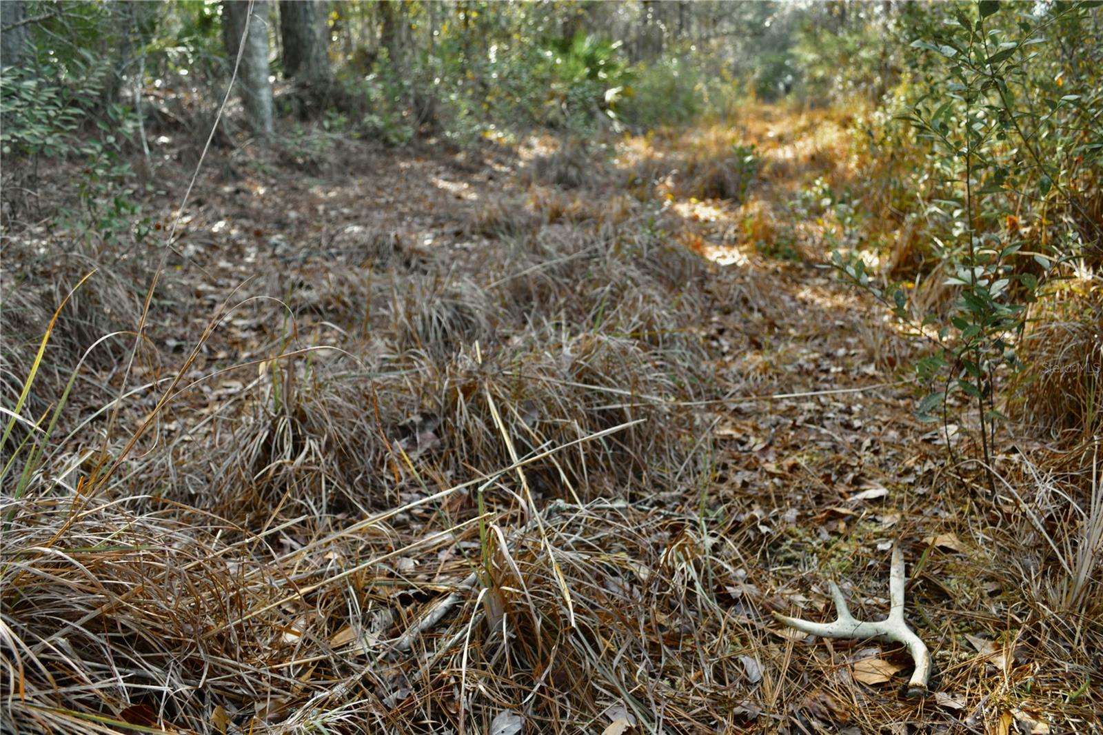 00 NW 89TH AVE, LAKE BUTLER, FL, 32054