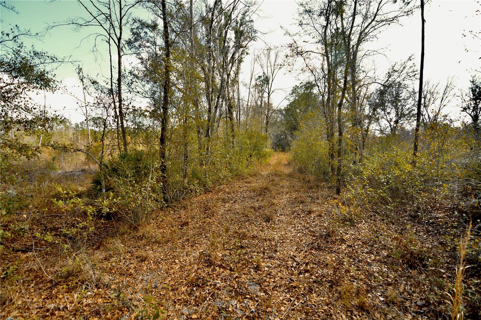 00 NW 89TH AVE, LAKE BUTLER, FL, 32054