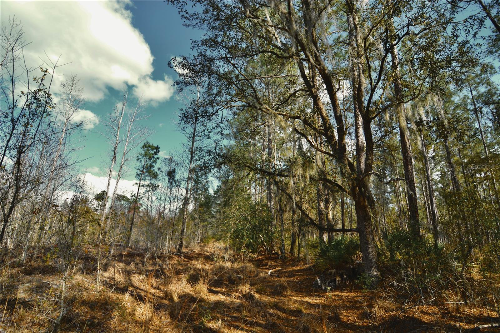 00 NW 89TH AVE, LAKE BUTLER, FL, 32054