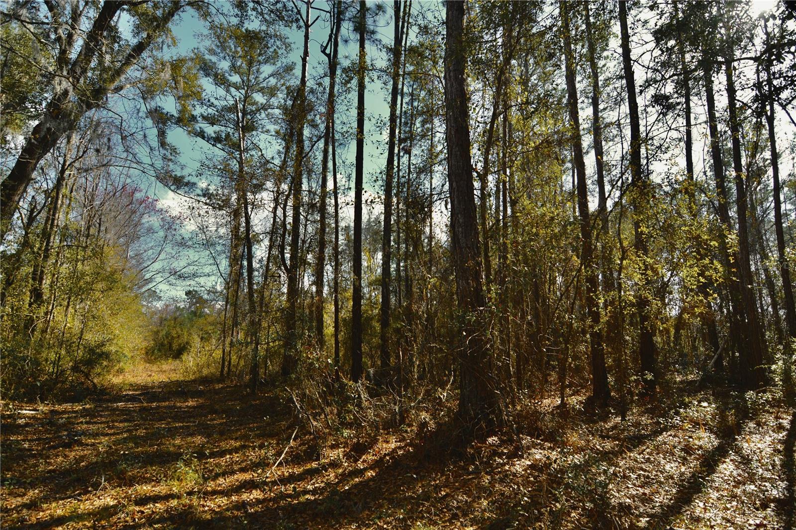 00 NW 89TH AVE, LAKE BUTLER, FL, 32054